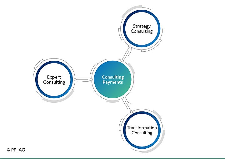 Schema der Beratungsfelder im Geschäftsbereich Consulting Payments