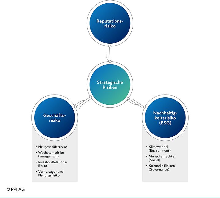 Schematische Darstellung der strategischen nichtfinanziellen Risiken