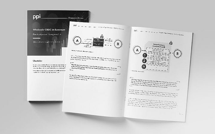 Wholesale-CBDC im Euroraum - Eine Analyse der Lösungsansätze