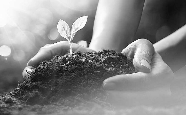 finsu life – for more sustainability in everyday life Icon image